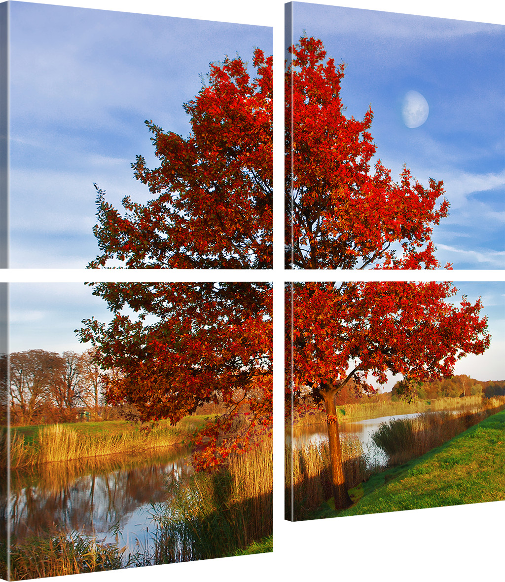 Wandbilder Natur sdatec.com