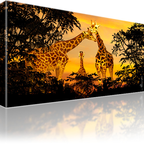 Bilder Giraffen Afrika Tiere Leinwandbild
