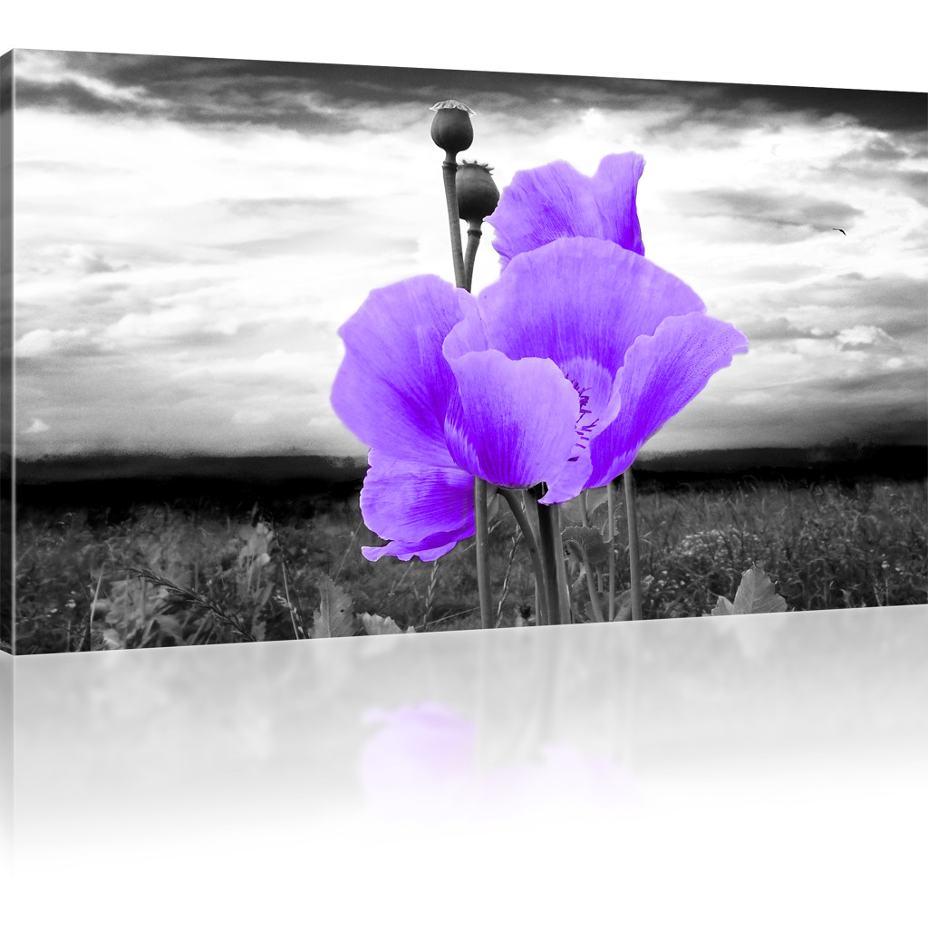 Wandposter Mohnblumen-Wiese 20x30cm - Natürliche Landschafts-Kunstdrucke