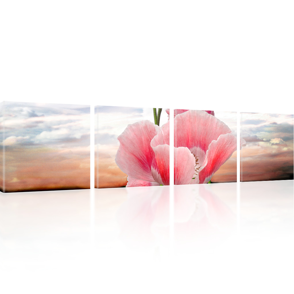 Bilder Mohnblume auf der Wiese Bilder auf Leinwand Blumen Wandbilder